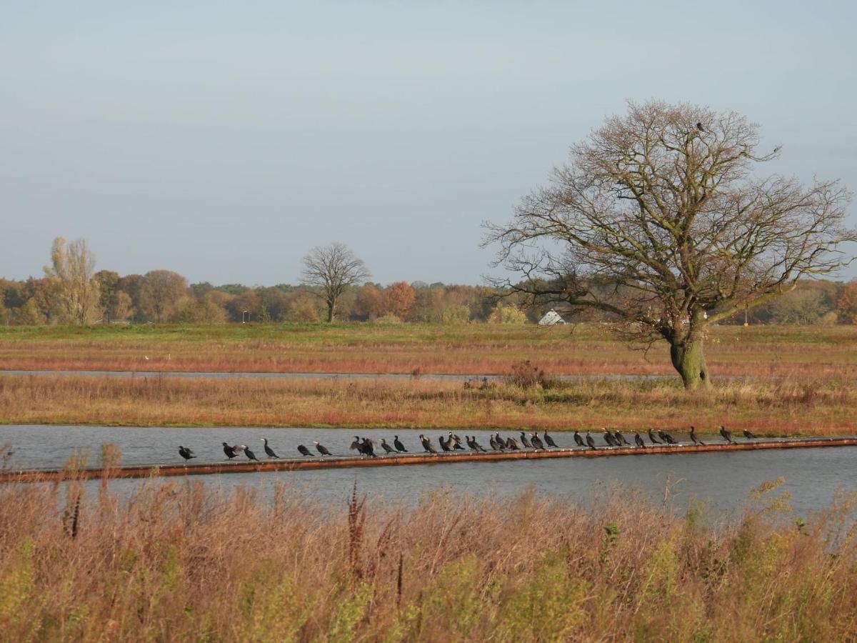De Blauwververij